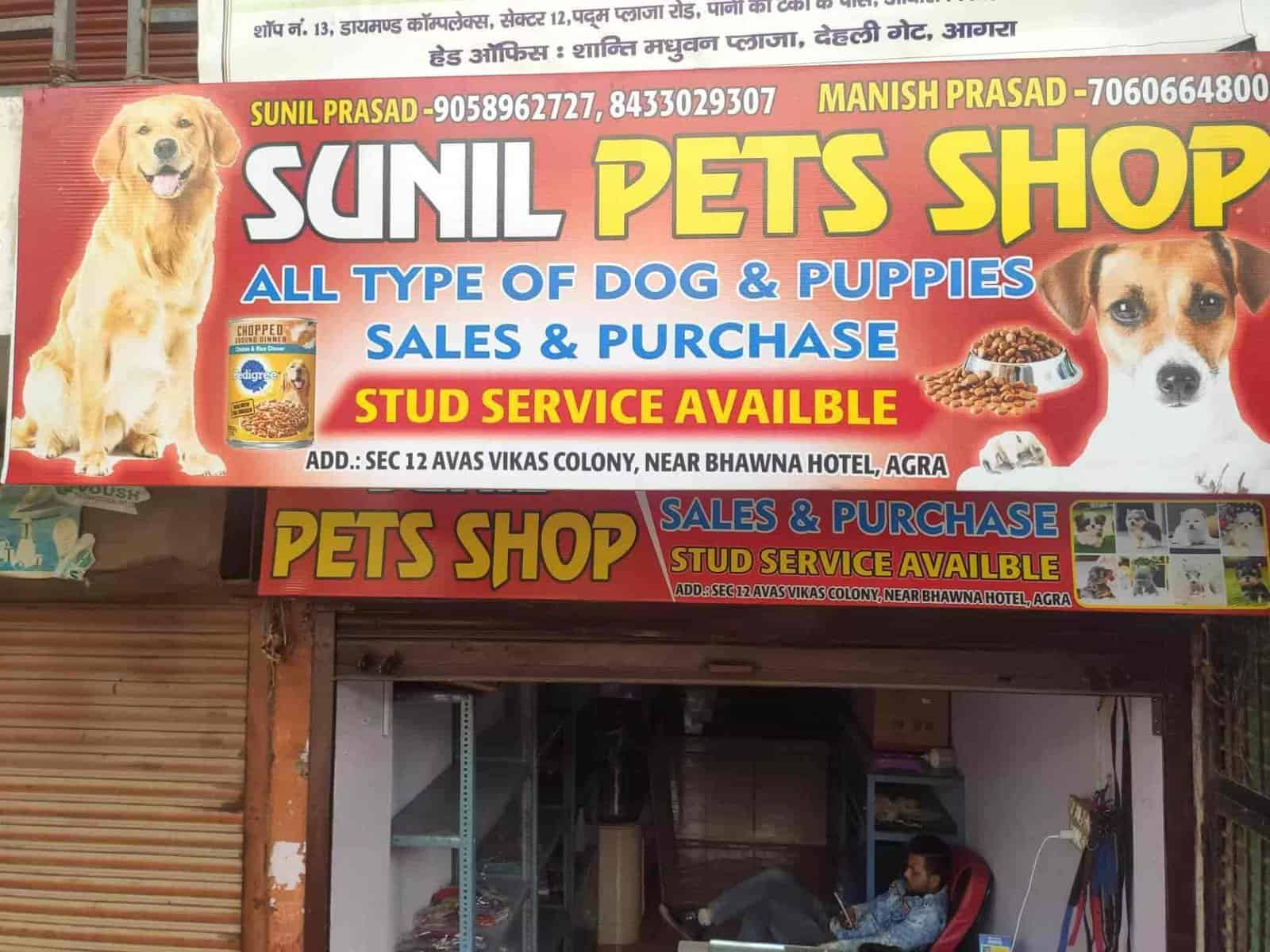 small dog pet store near me