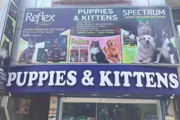 pets shops near me