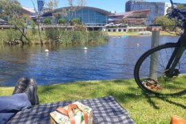 picnic parks near me adelaide