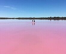 pink lake