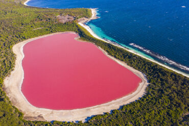 pink lake location