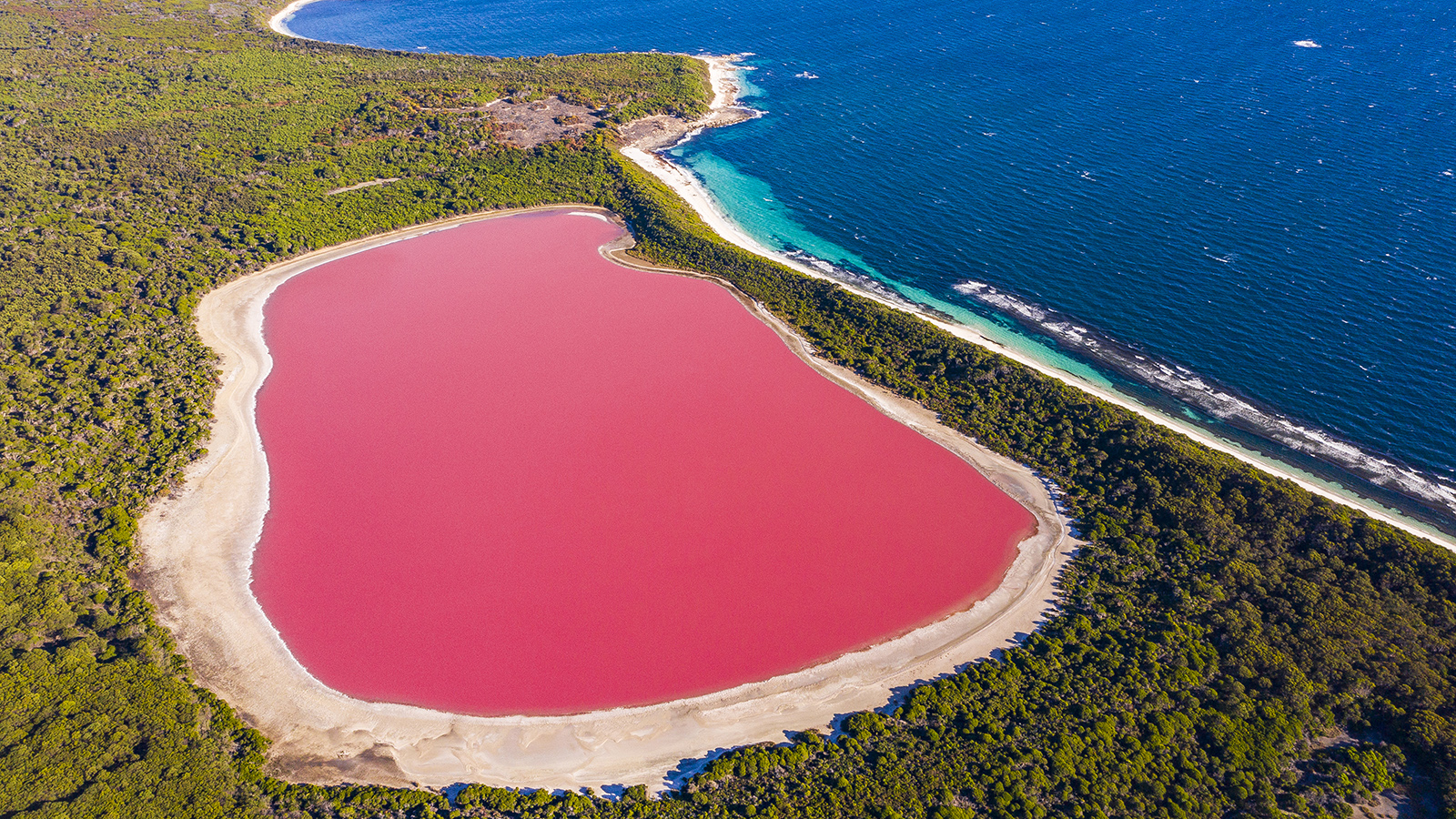 pink lake location