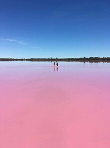 pink lake