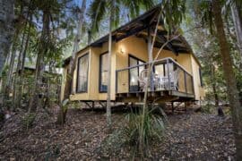 places to stay mount tamborine