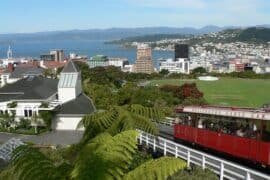 places to visit in wellington