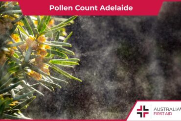 pollen count adelaide