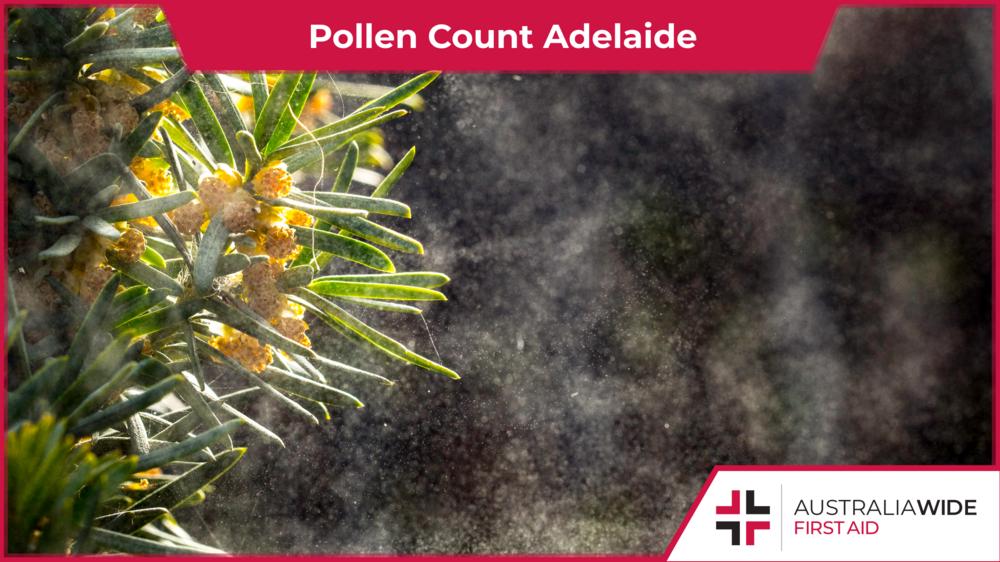 pollen count adelaide