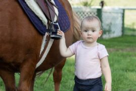 pony rides sydney