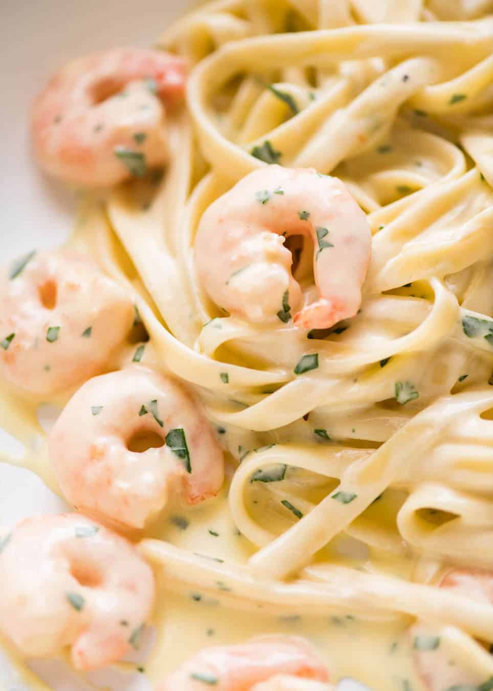 prawn pasta with cream