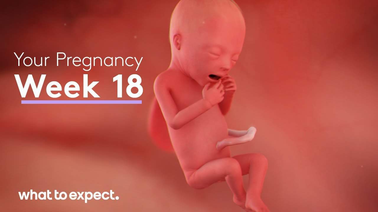 pregnant-at-18-weeks-here-s-what-you-can-expect