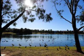 prospect reservoir picnic area sydney