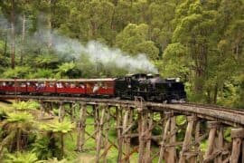 puffing billy railway melbourne