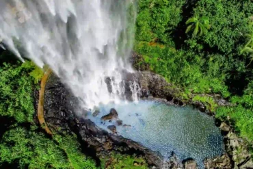 purling brook falls springbrook