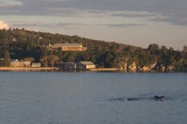 quarantine reserve sydney