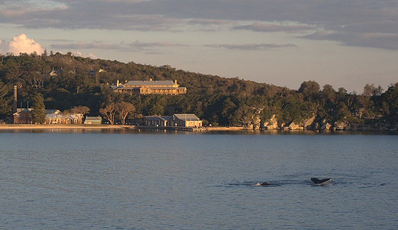 quarantine reserve sydney