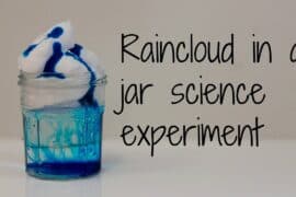 raincloud experiment