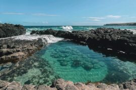 rock pool melbourne