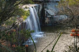 royal national park waterfall wattamolla sydney