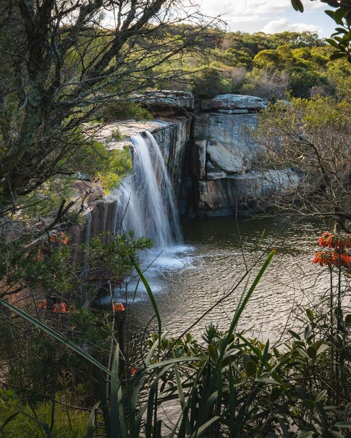 royal national park waterfall wattamolla sydney