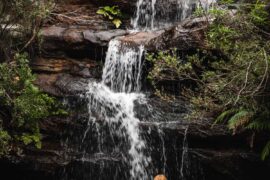 royal national park waterfalls sydney