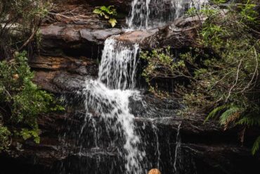 royal national park waterfalls sydney