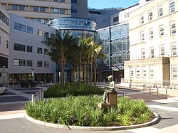 rpa hospital camperdown