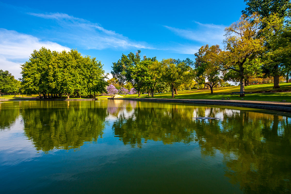 Discover the Beauty of Rymill Park: A Must-Visit Destination for Nature ...