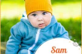 sam name meaning