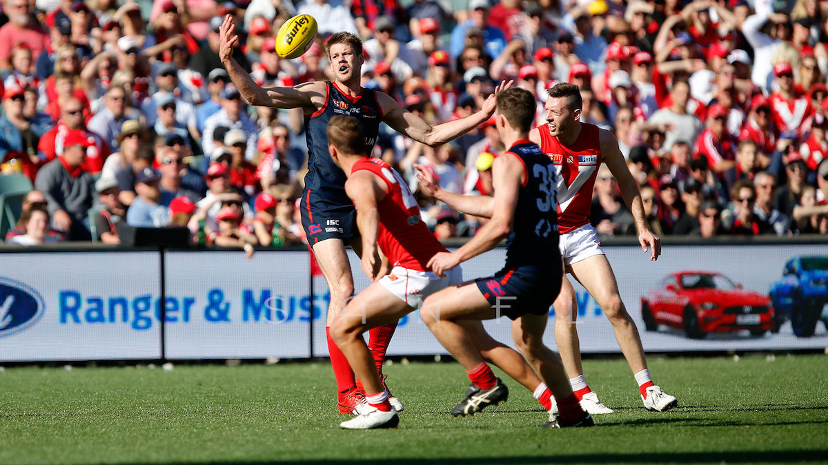 sanfl grand finals