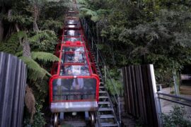 scenic world