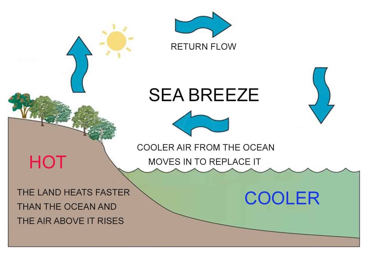 sea breeze perth