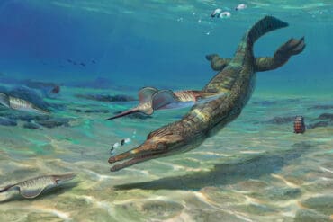 sea crocodile