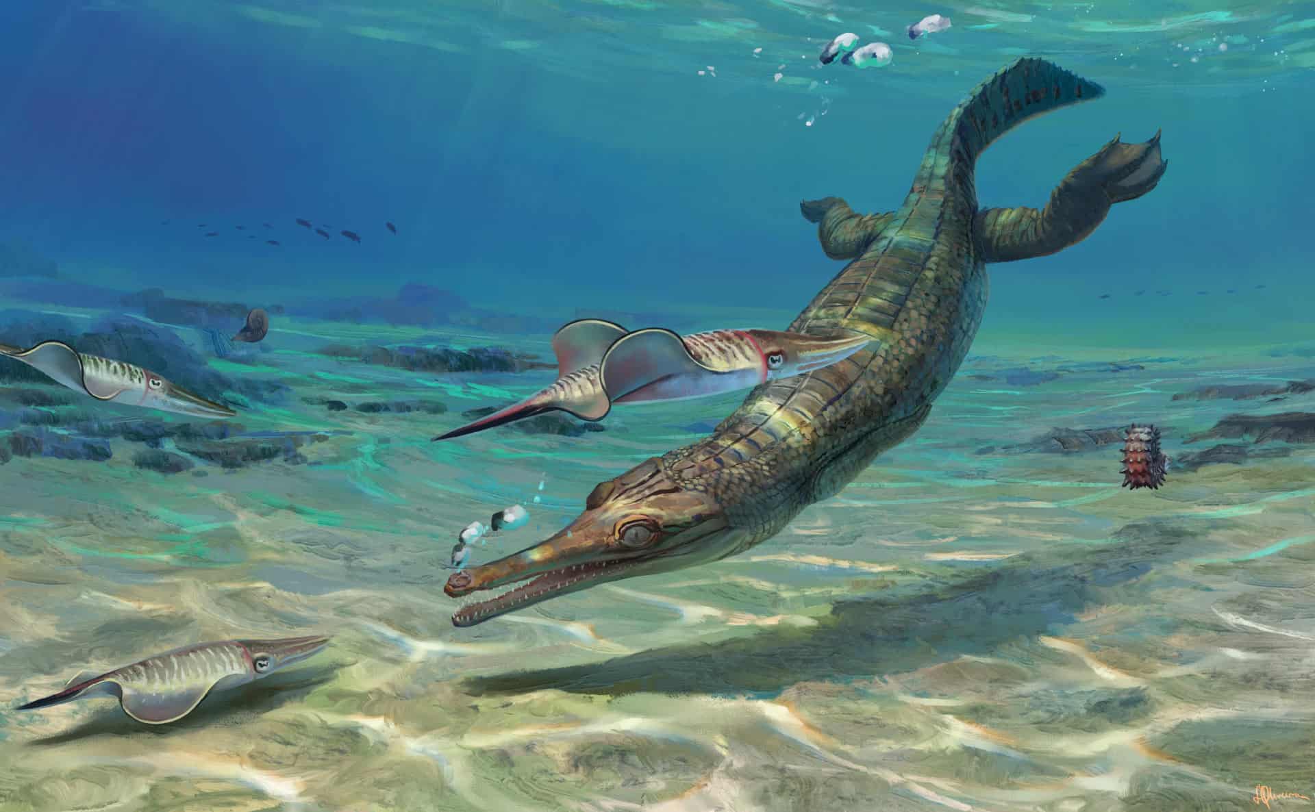 sea crocodile