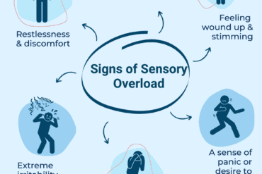 sensory seeking adhd