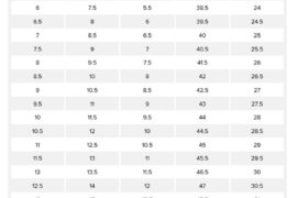 shoes size conversion