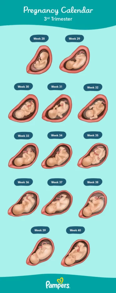 signs of preeclampsia at 32 weeks