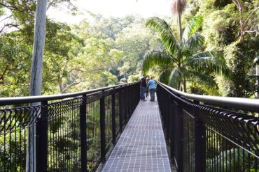 skywalk tamborine