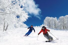 snow ski japan