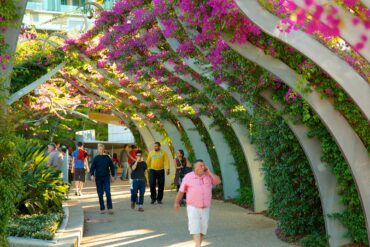 southbank park brisbane