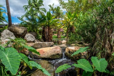 southbank parklands restaurants brisbane