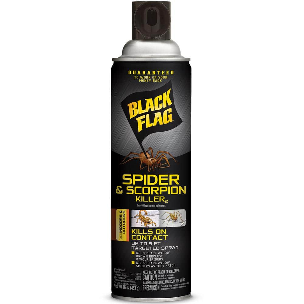 spider spray