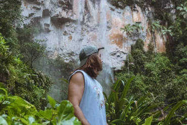 springbrook national park