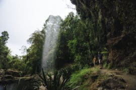 springbrook national park australia