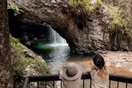 springbrook national park gold coast