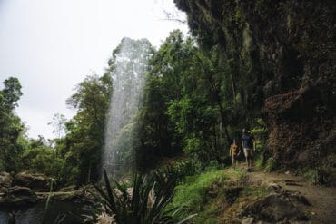 springbrook national park national park