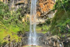 springbrook national park qld