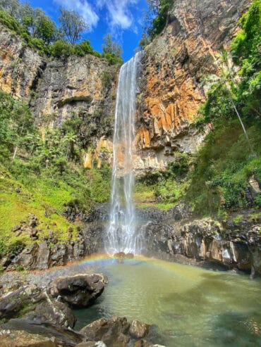 springbrook national park qld