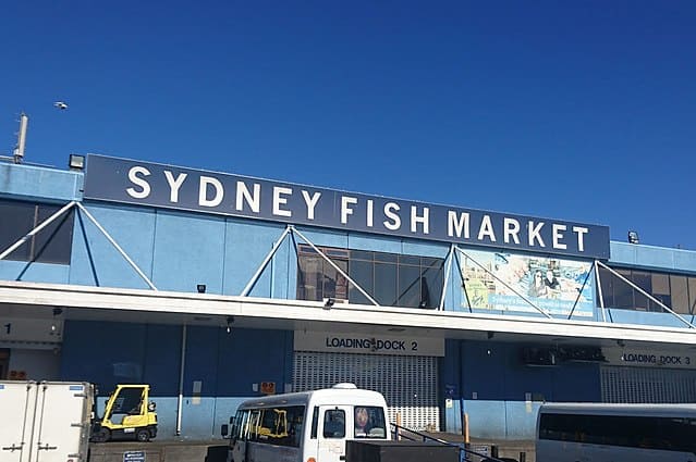 sydney fish market