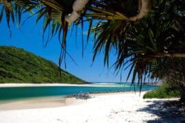 tallebudgera beach