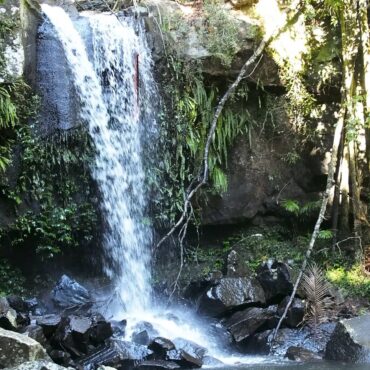 tamborine mountain